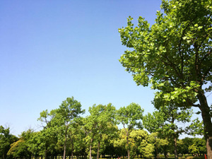 blogphoto53.jpg