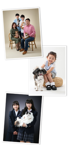 ペット写真